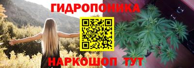 a pvp Мариинск