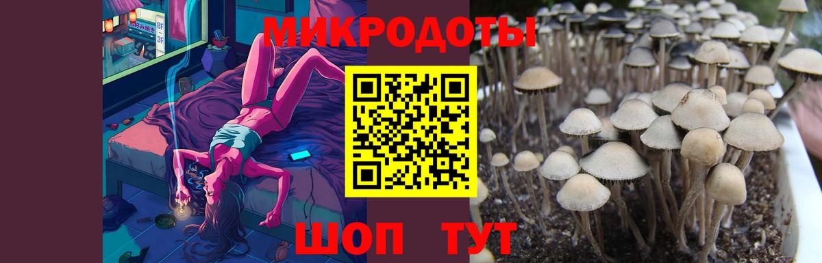 Псилоцибиновые грибы Cubensis  хочу   Азов  Вход с VPN 